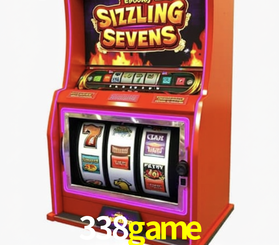 Security Systems 338game